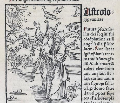 Stultifera_image_page2_1