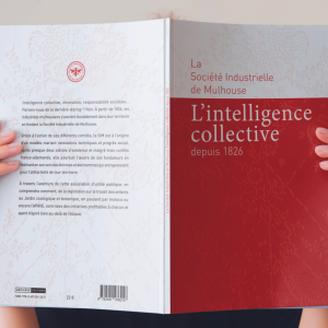 L'intelligence collective, Histoire de la SIM