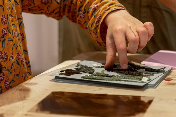 AtelierHerbier©SIM-12