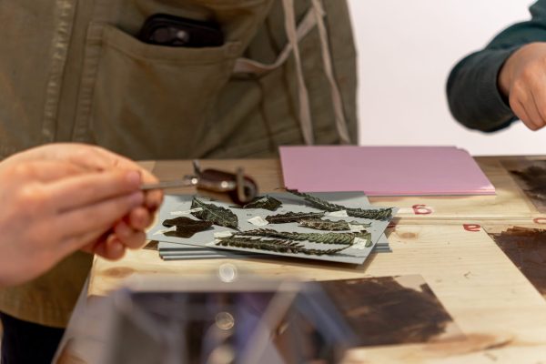 AtelierHerbier©SIM-13