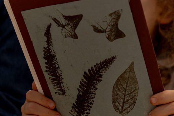 AtelierHerbier©SIM-15