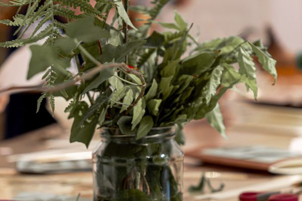 AtelierHerbier©SIM-17