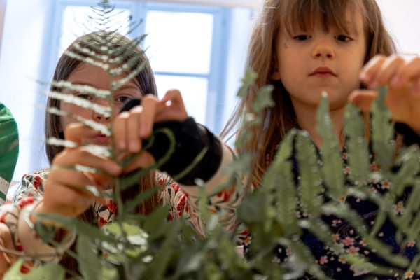 AtelierHerbier©SIM-18