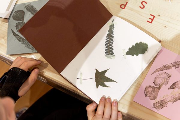 AtelierHerbier©SIM-20