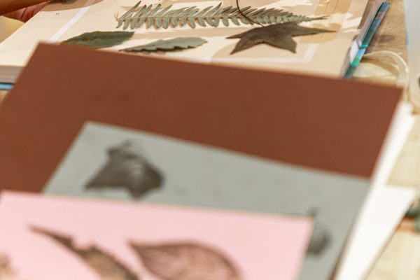 AtelierHerbier©SIM-21