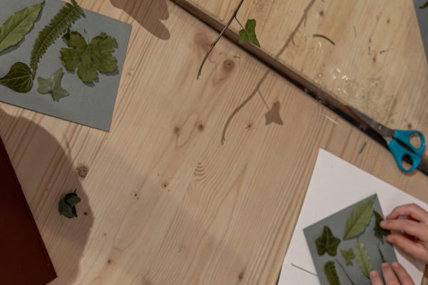 AtelierHerbier©SIM-7