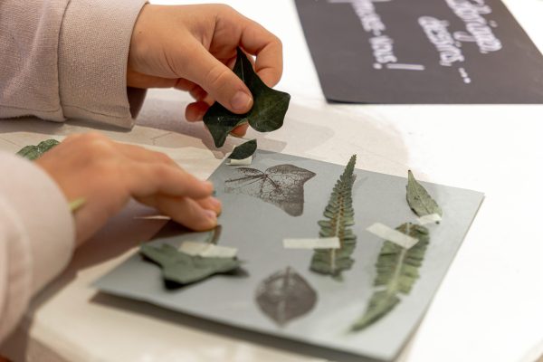 AtelierHerbier©SIM-9